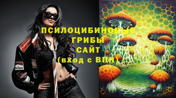 гашик Абинск