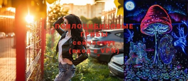 молекула духа Бутурлиновка